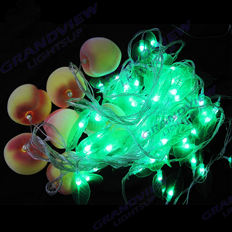 GV-String Light With Caps-2222