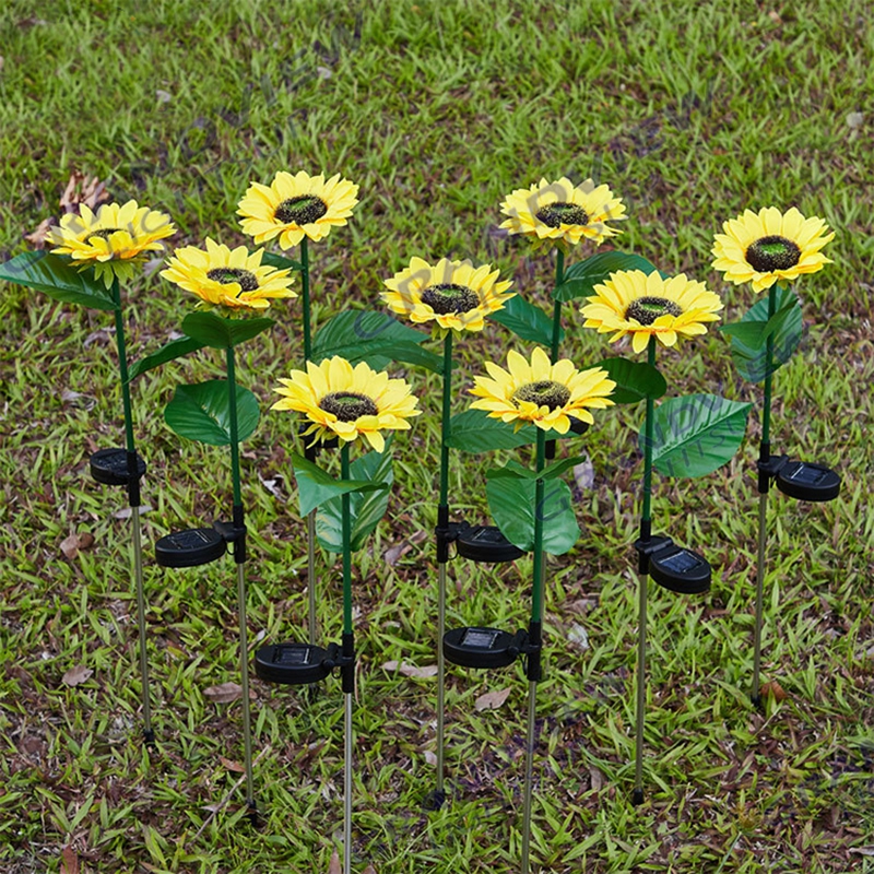 GV-Sunflowers-2203