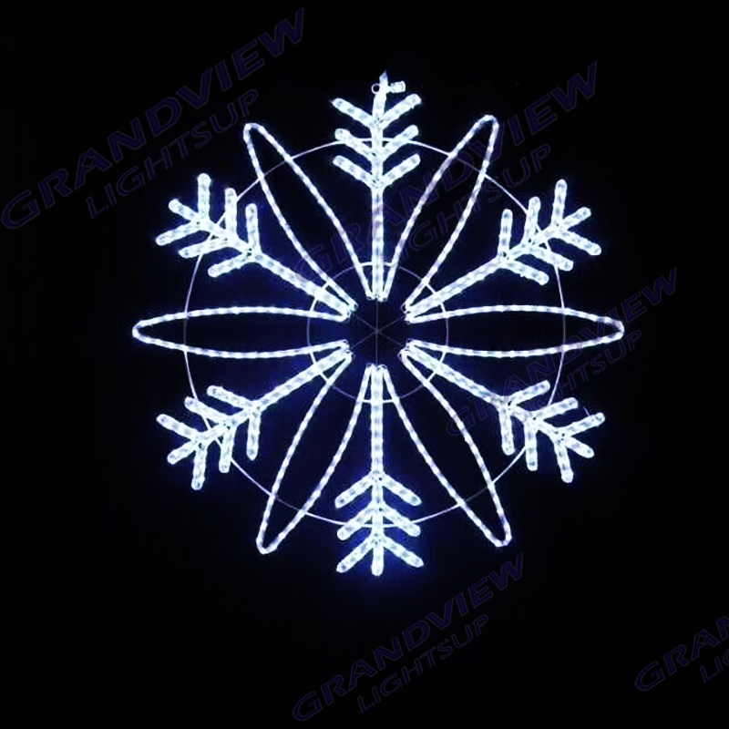 GV-Snowflake-2216