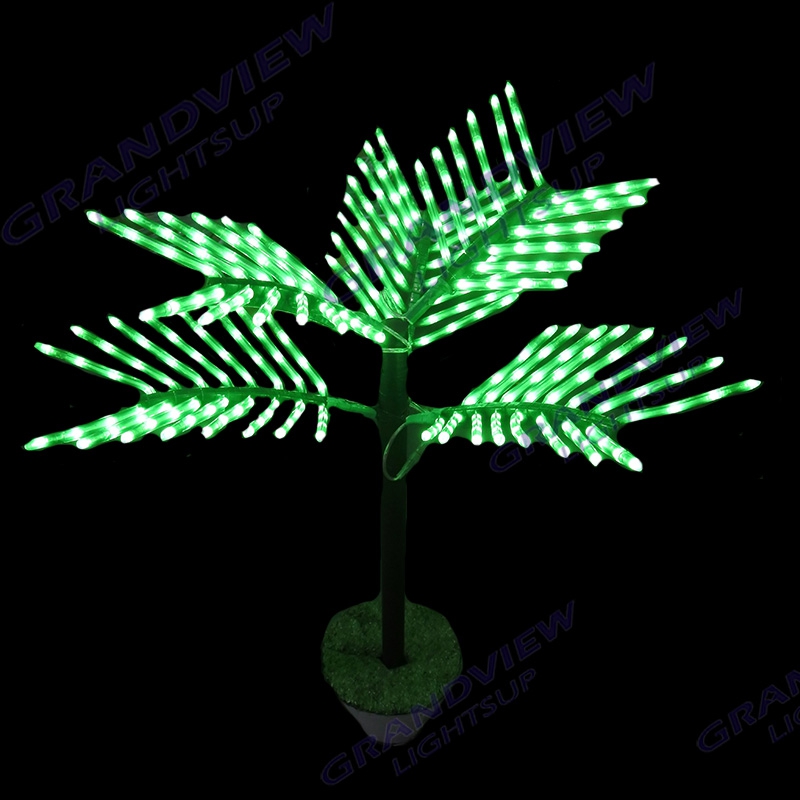 GV-Palm Tree-2215